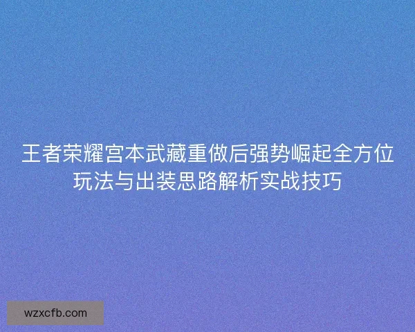 王者荣耀宫本武藏重做后强势崛起全方位玩法与出装思路解析实战技巧