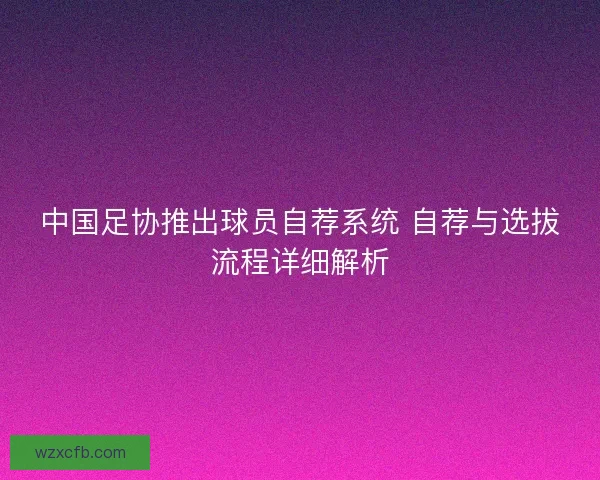 中国足协推出球员自荐系统 自荐与选拔流程详细解析