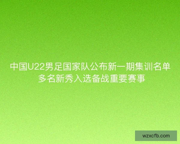 中国U22男足国家队公布新一期集训名单 多名新秀入选备战重要赛事