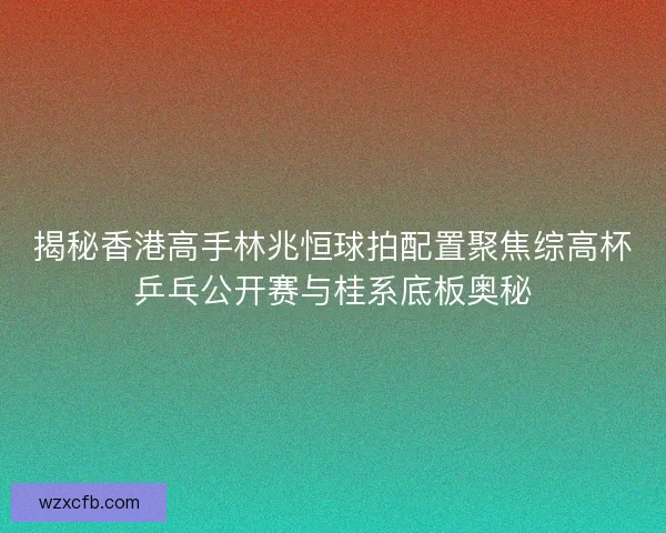 揭秘香港高手林兆恒球拍配置聚焦综高杯乒乓公开赛与桂系底板奥秘 揭秘香港高手林兆恒球拍配置聚焦综高杯乒乓公开赛与桂系底板奥秘
