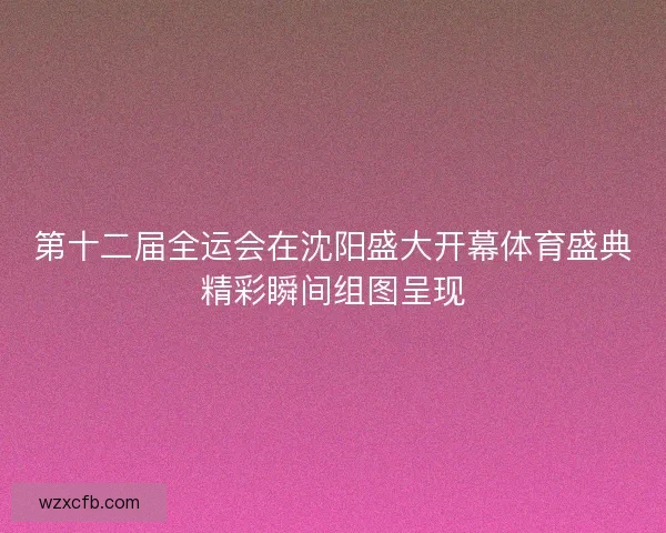 第十二届全运会在沈阳盛大开幕体育盛典精彩瞬间组图呈现